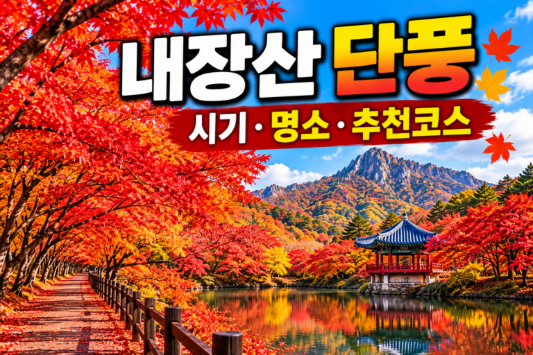 2026 내장산 단풍 시기｜단풍터널·우화정·케이블카와 1박2일 여행