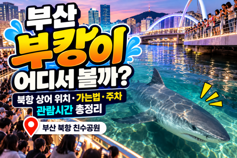 부산 부캉이 언제떠나나 떠나기전 어디서 볼까?｜북항 상어 위치·가는법·주차·관람시간 총정리
