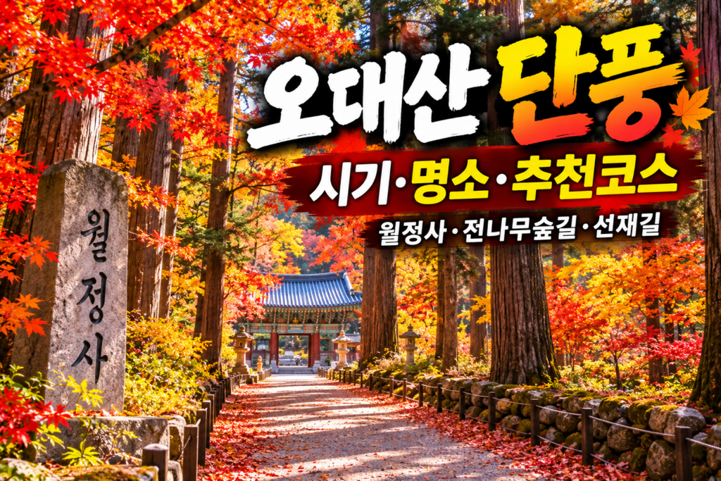 2026 오대산 단풍 시기｜월정사 전나무숲·선재길 단풍 명소와 1박2일 여행 숙소 사진
